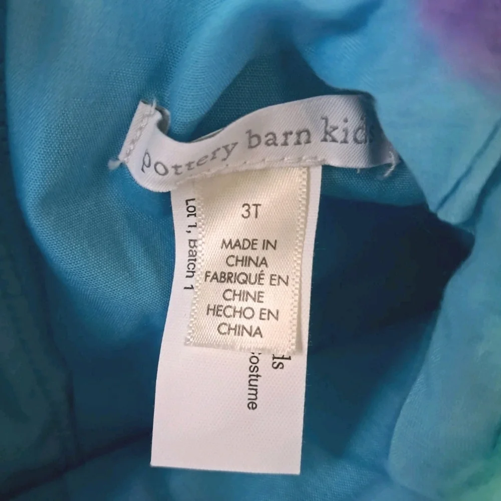 Pottery Barn Kids Disney Pixar Sulley Costume 3T NWT Monsters Inc Halloween